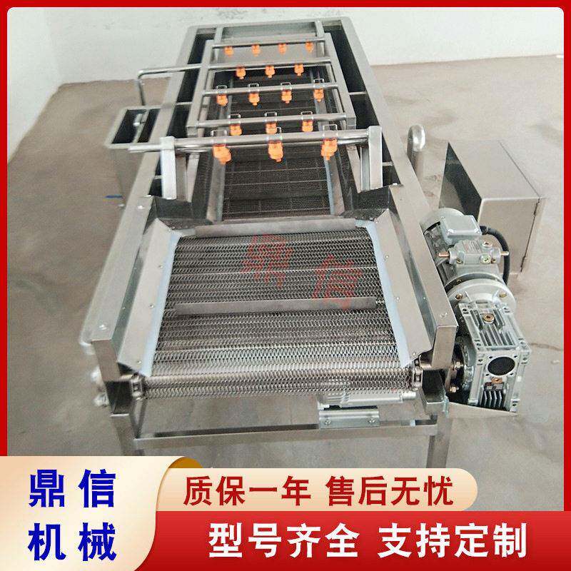 金丝小枣气泡清洗机 鲜枣超声波清洗机 果蔬气泡式清洗机 商用