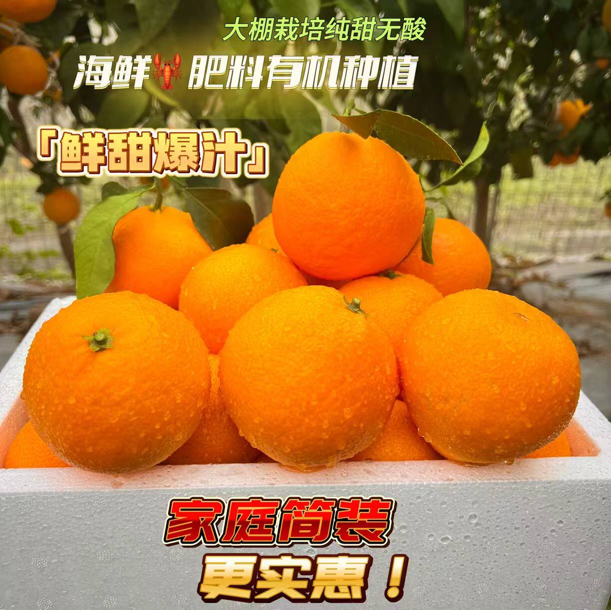 象山红美人爱媛橙5斤装