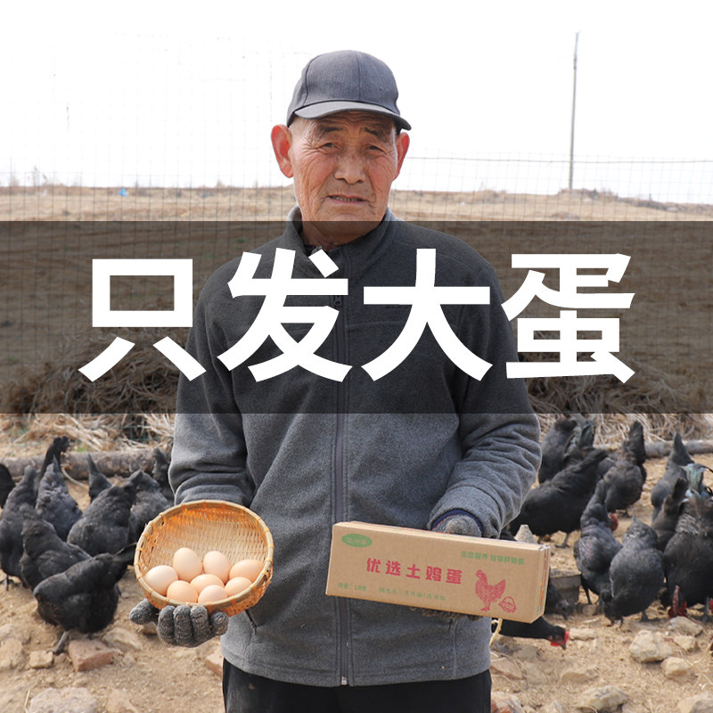 大个鸡蛋散养土鸡蛋1斤新鲜农村无抗无激素谷物鲜鸡蛋破损包赔