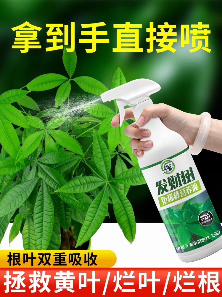 免稀释发财树专用营养液花肥料室内盆栽植物金钱树花卉绿植喷施肥