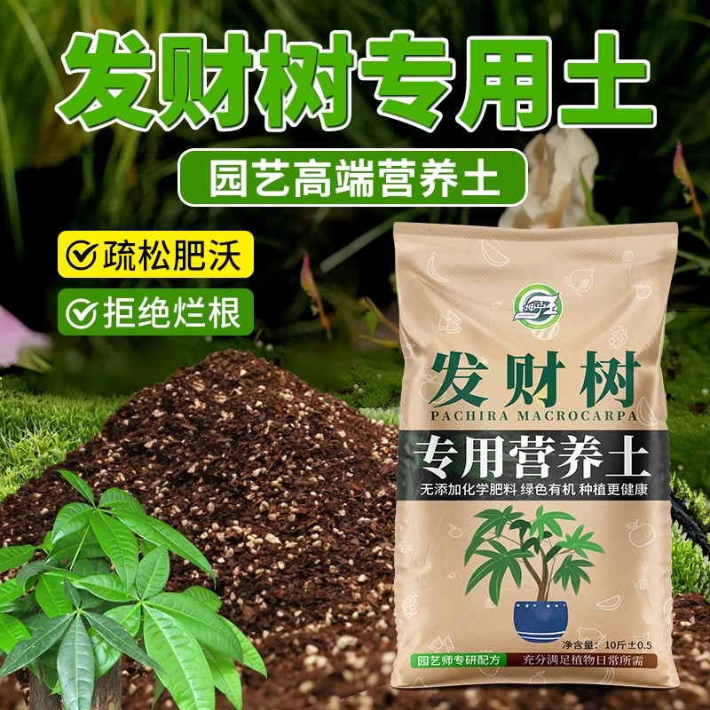 发财树专用营养土家用盆栽养花绿植种菜通用种植土壤发财树专用肥