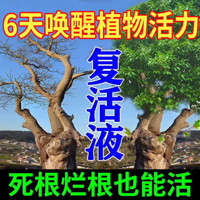 营养液植物通用型树木移栽壮苗专用肥料强力生根剂大树复活营养液