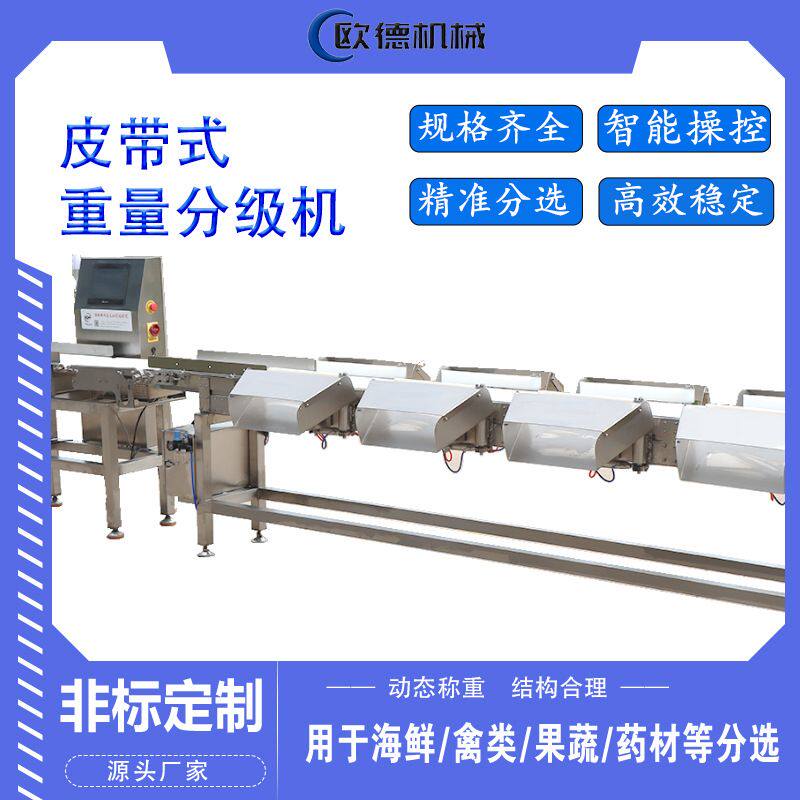 智能精准 称重分选机皮带秤白条鸡分选机全鸡全鸭重量分级机