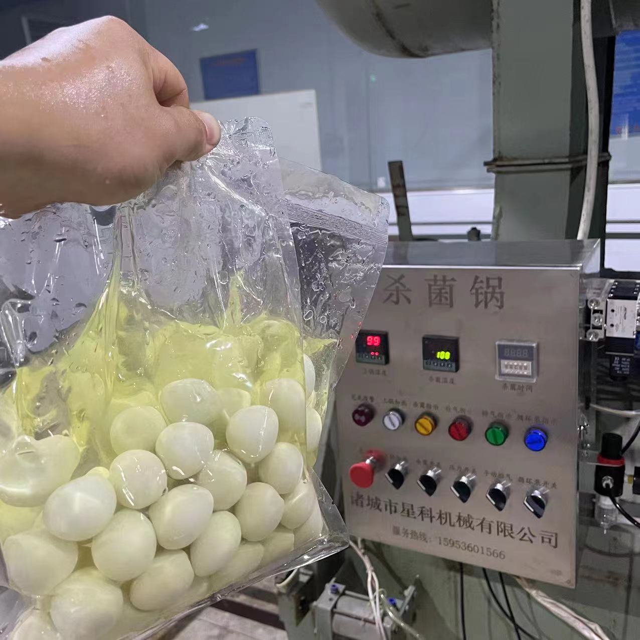 铝塑包装鸭翅鸭掌鸭脖杀菌锅 袋装烤鸭高温灭菌设备 盐焗蛋杀菌釜