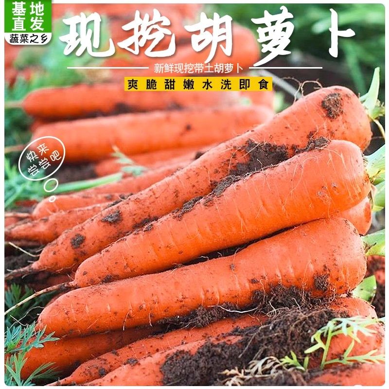 应季新鲜胡萝卜农家自种胡萝卜微泥土发货时令胡萝卜辅食胡萝卜