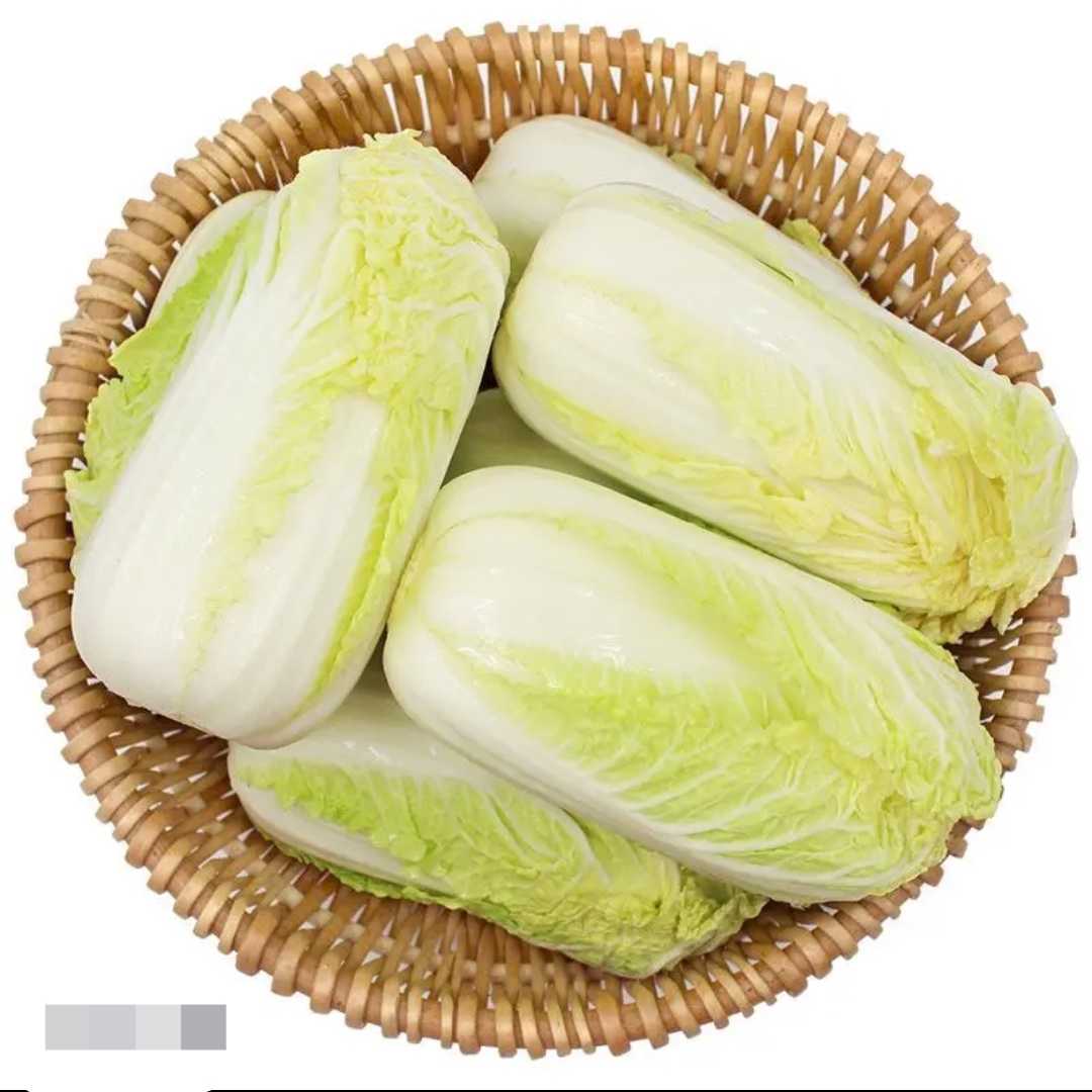 内蒙古小娃娃菜露天种植娃娃菜生态时蔬现砍发出黄芯娃娃菜