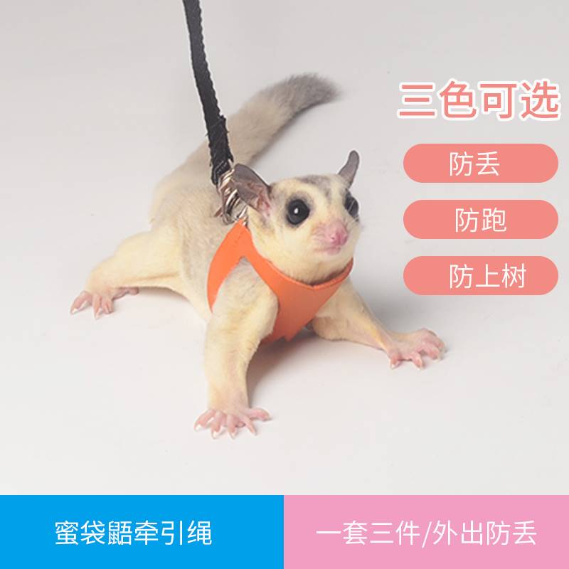 蜜袋鼯外出绳外带胸背式牵引绳密袋鼬衣服爬绳控制绳放风防逃跑链