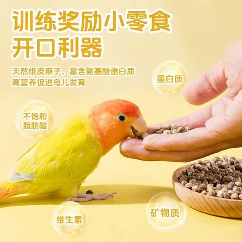 麻子鹦鹉粮训练奖励纸壳麻子饲料奖励零食火麻籽鸟粮鸟食全网