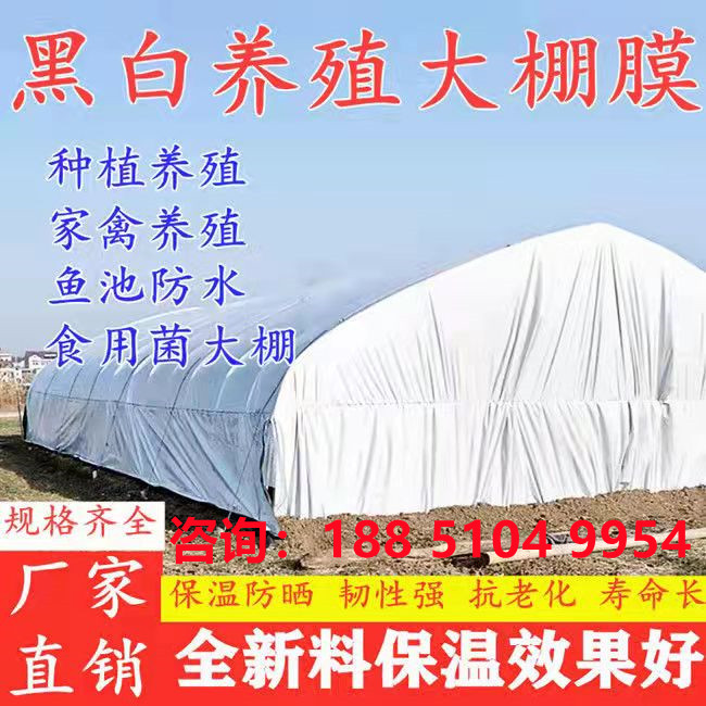 黑白膜抗老化PE无滴棚膜