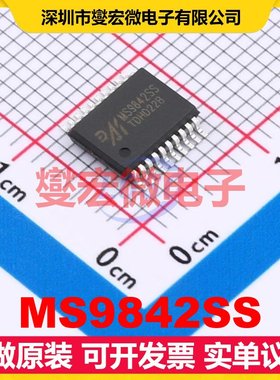 MS9842SS SSOP-20 专用ADC DAC转换器芯片IC