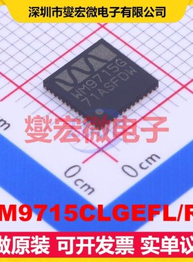WM9715CLGEFL/RV QFN-48-EP(7x7) 音频接口芯片IC