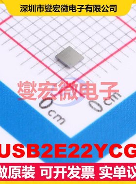TUSB2E22YCGR DSBGA-25(2x2) USB转换芯片IC