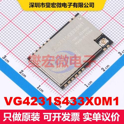 VG4231S433X0M1 SMD,29.9x20.5mm 射频收发器模块和调制解调器 射