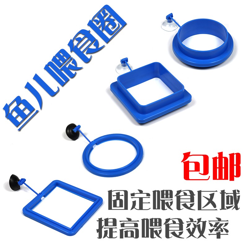 鱼缸喂食器喂鱼神器孔雀鱼漂浮喂食圈丰年虾投食器鱼食投喂器