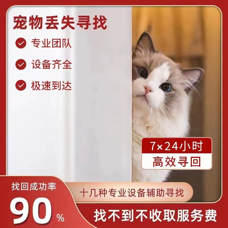 找猫寻猫服务找猫团队北京找猫宠物侦探寻猫团队猫丢了专业找猫咪