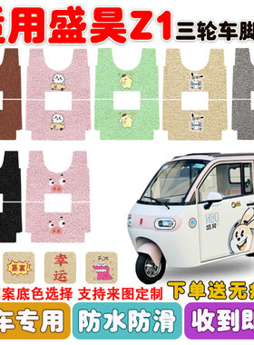 盛昊Z1电动三轮车脚垫SH1500DZK-15丝圈垫防水防滑耐磨脚踩垫定制