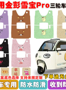 适用金彭雪宝pro电动三轮车脚垫JP1000DZK-4P丝圈防水脚踩垫定制