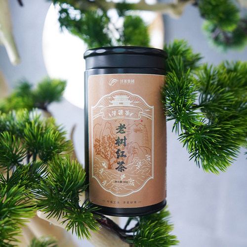 浮梁茶老树红茶罐装80g