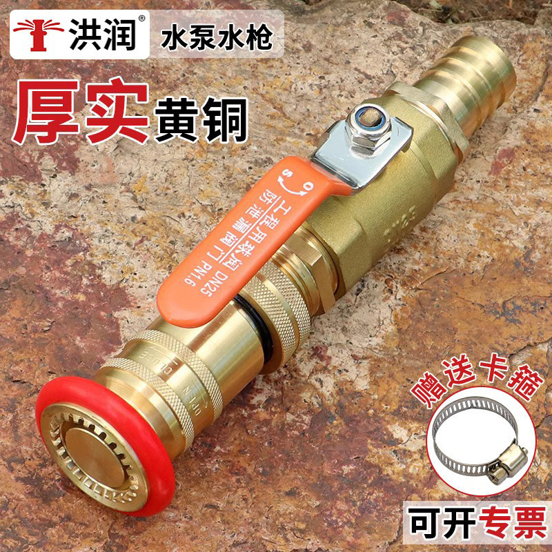 洪润绿化浇水灌溉洒水浇菜浇地农用潜水泵消防花洒高压铜水枪喷头