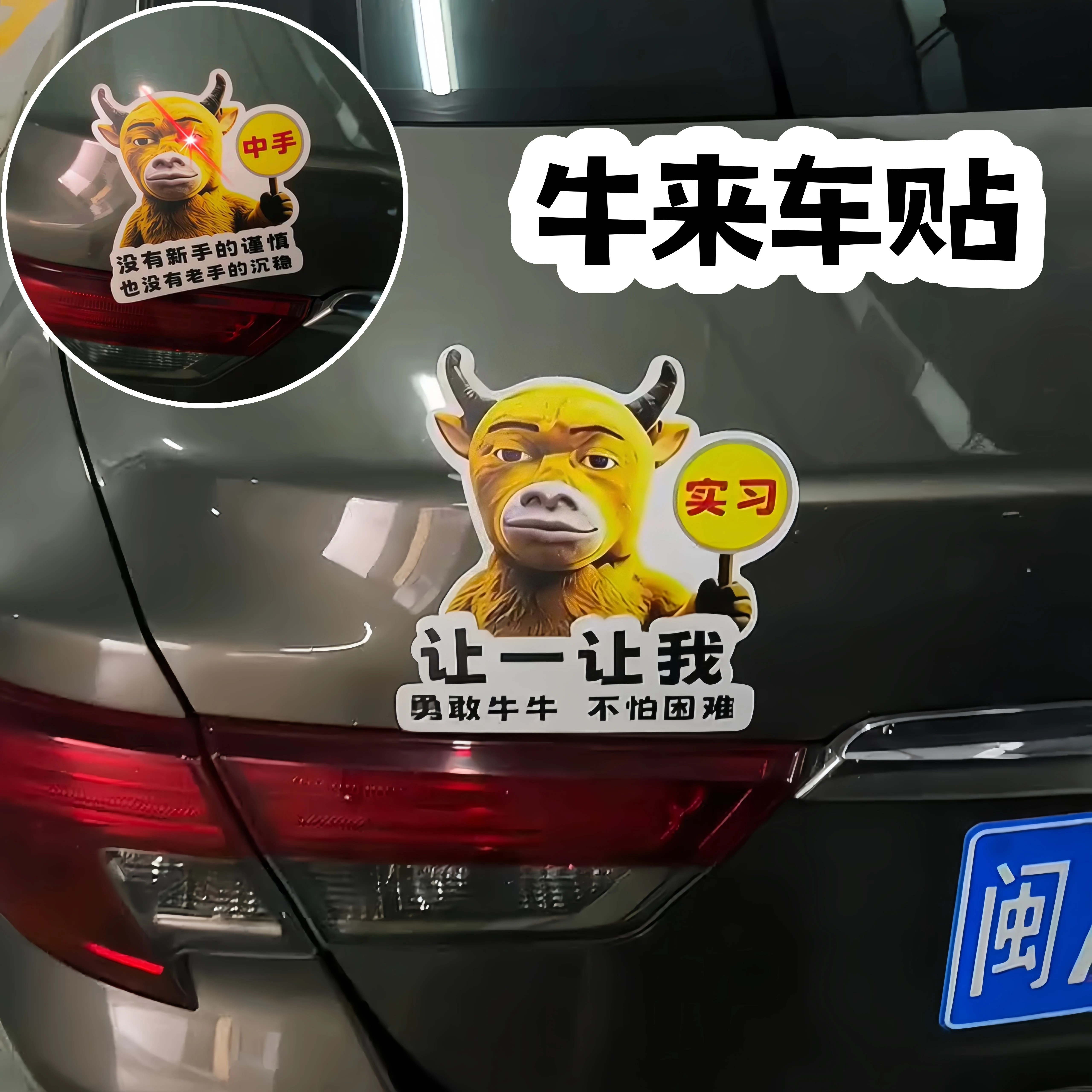 新手上路实习创意文字车尾贴