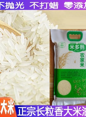 韶关正宗油粘米象牙长粒香新大米农家米丝苗米真空包装2025年马坝