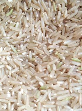 广东韶关正宗糙米马坝油粘米象牙香米软香大米不抛光2025年新稻谷