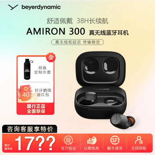 Amiron300真无线降噪耳机