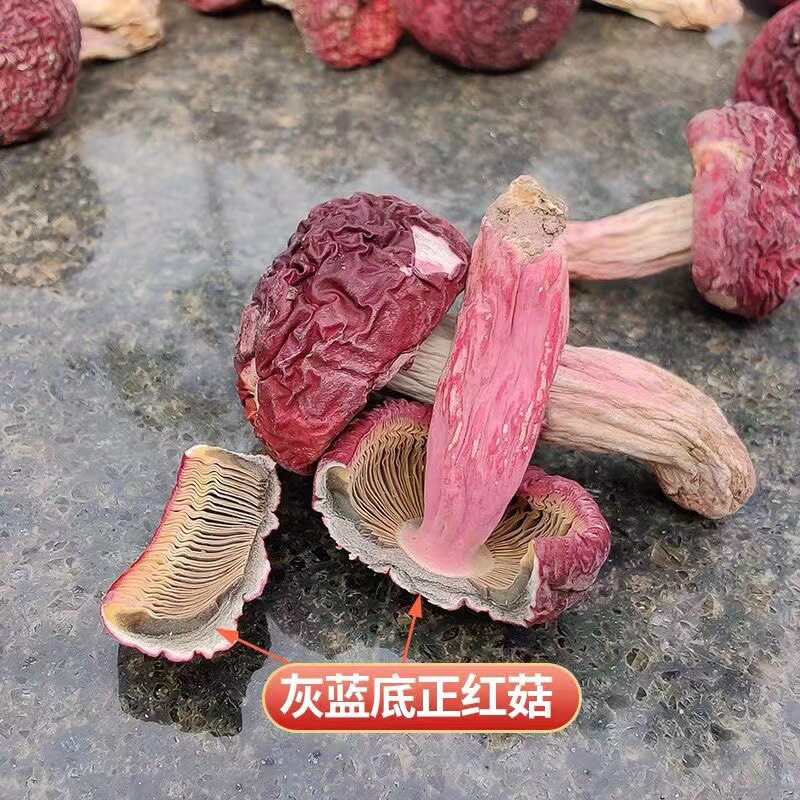 【量大从优】云南小红菇500g标菇小红菌红菇干货红蘑菇正红菇批发