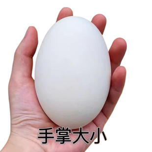 土鹅蛋农家散养220-260克新鲜生土鹅蛋超大特大当天现捡现发12枚