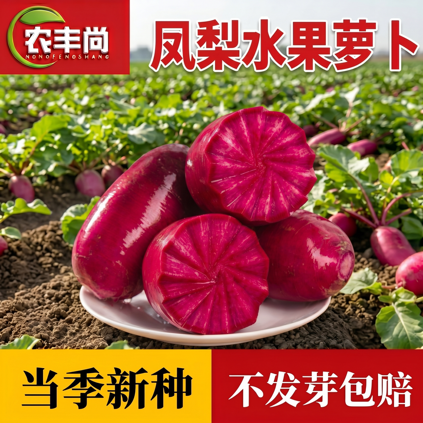 凤梨水果萝卜种子红心萝卜籽种