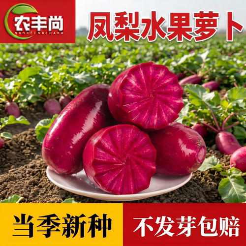 凤梨水果萝卜种子红心萝卜籽种