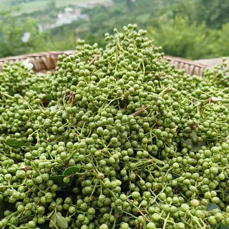 新鲜青花椒藤椒四川特产鲜青藤椒鲜花椒真空保鲜新花椒生麻椒7两_虎窝淘