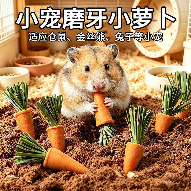 仓鼠磨牙棒可食用胡萝卜金丝熊营养饲料仓鼠粮食品小兔子零食