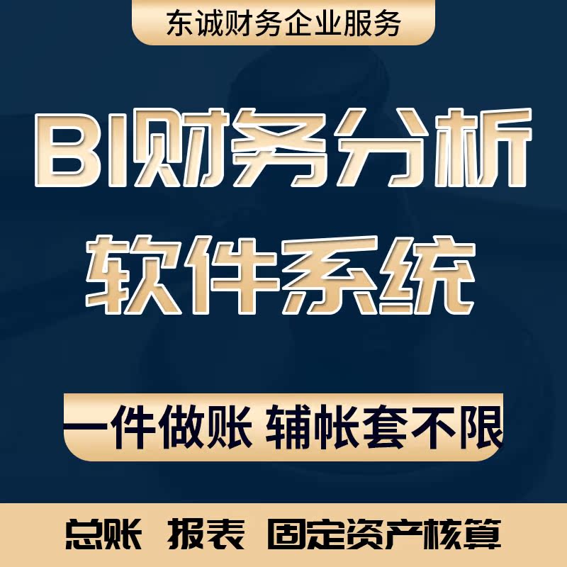 BI财务分析软件财务软件财务数据分析