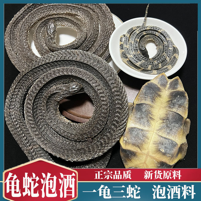 正宗三蛇一龟泡酒中药材龟蛇酒一龟三蛇酒 眼镜蛇干乌梢蛇银环蛇