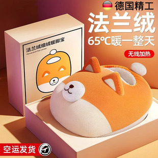 德国暖脚宝2025新款 草莓熊冬天可爱风保暖神器暖手宝充电热水袋