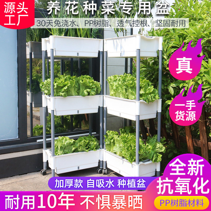 食品级材质自动吸水下单送菜籽图片