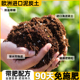 花土通用型种花家用营养土盆栽多肉土壤养花种菜专用种植泥土有机