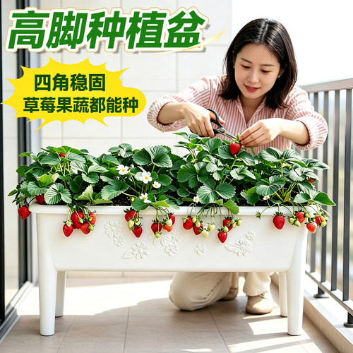 种菜神器屋顶花槽自吸水送菜籽