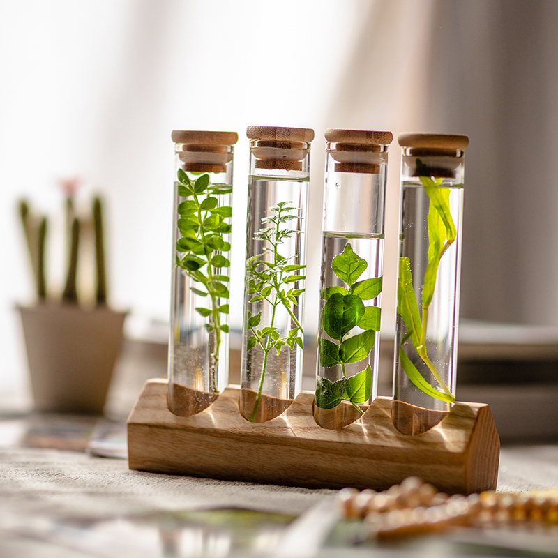 实木玻璃试管高清展示架茶叶咖啡豆展G示罐陈列透明奶茶店吧台摆