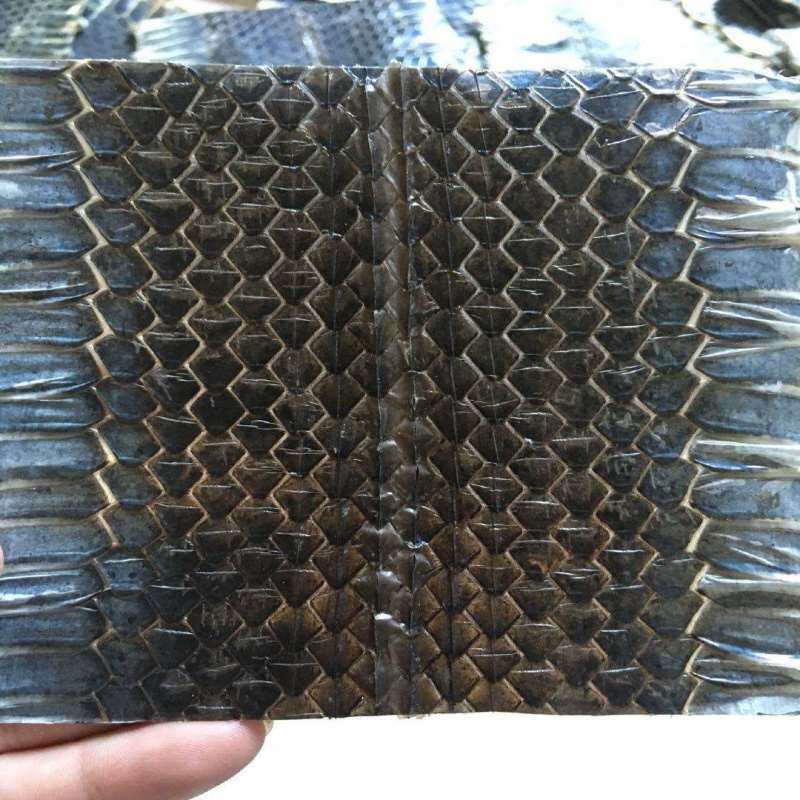 蒙皮京胡材料乌梢以上中断或新鲜单块越胡二胡四弦以上蛇皮