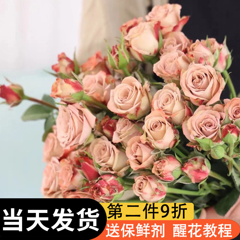多头小玫瑰鲜花鲜切花客厅摆件