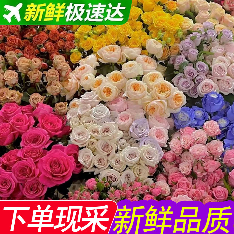 玫瑰花单头多头鲜花盲盒家庭室内摆设花束云南基地直批发花瓶插花,鲜花速递/花卉仿真/绿植园艺,花材,淘宝优惠券,粉丝福利购,淘宝优惠卷