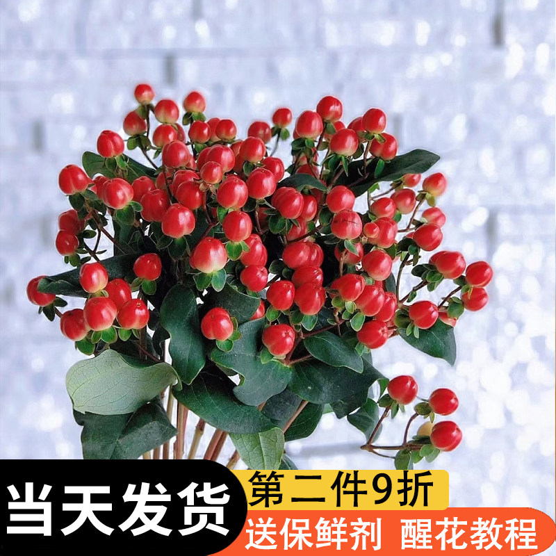 云南相思红豆火龙珠插花鲜花花束