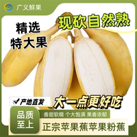 正宗廣西蘋果蕉特大果banana時令特產水果孕婦自然熟香蕉現(xiàn)砍9斤