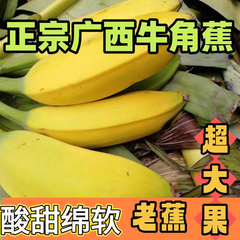 【产地优选】大牛角蕉