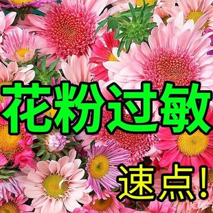 皮肤过敏止痒药膏防花粉柳絮油漆水泥季节性过敏祛红肿瘙痒抑菌膏