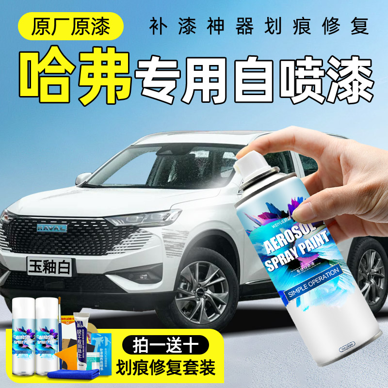 【专车专色】蔚越汽车自喷漆图片