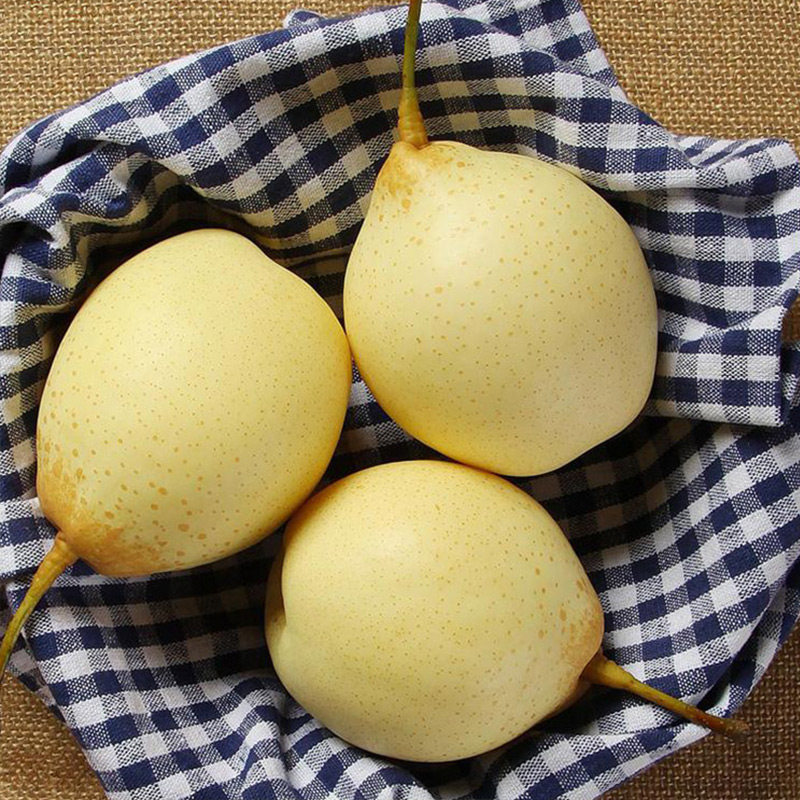 【芭芭农场】鸭梨3斤单果200g+ 清脆多汁有问题咨询客服