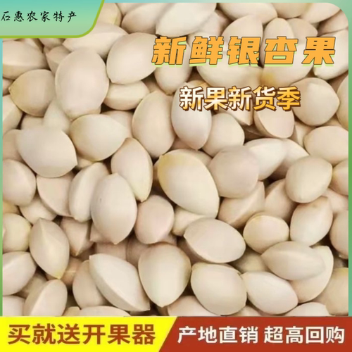 带壳新鲜银杏果邳州特产